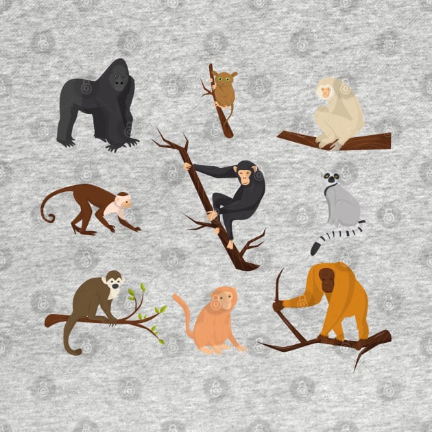 Monkey species by Mako Design 